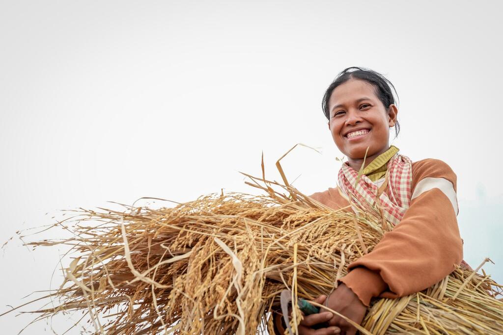 Благодаря доступу к данным Агрометеорологической службы Камбоджи Сари Кеа сможет лучше планировать свою деятельность по выращиванию риса и адаптироваться к изменчивости климата.